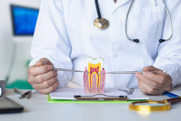 Best Emergency Treatment for Dental Infections or Abscesses in Key West, FL